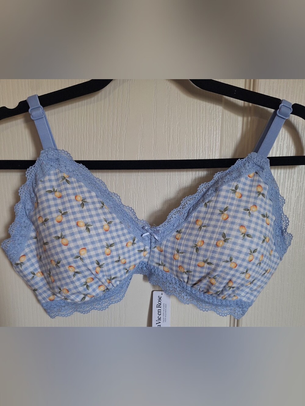 XL La Vie En Rose Light Blue Gingham Bra with Peach Print